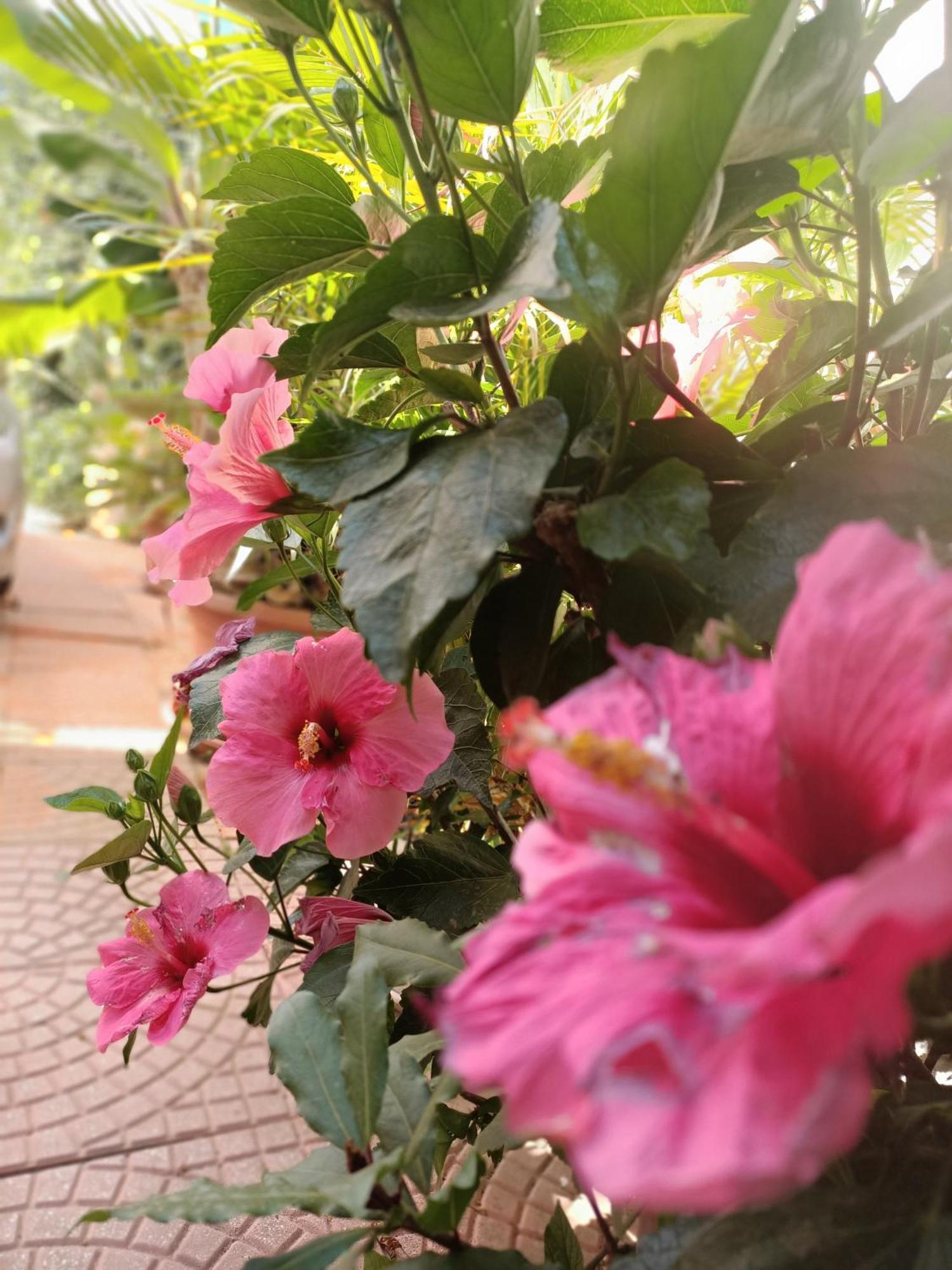 Summer Loft Sant'Andrea  Dış mekan fotoğraf